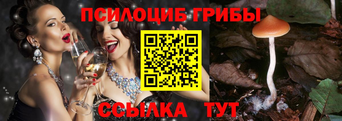 Псилоцибиновые грибы мицелий  Вход с VPN  Галлюциногенные грибы Cubensis  Советская Гавань 